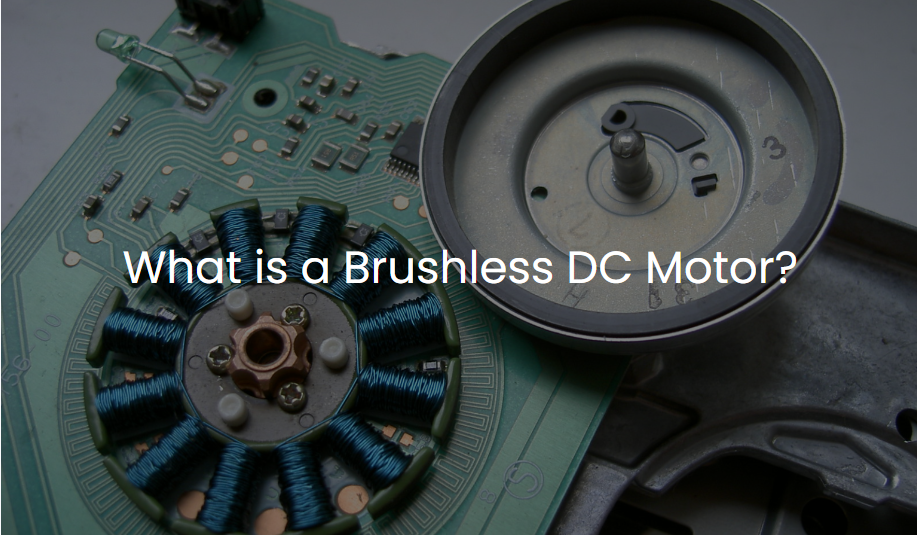 brushless dc motor